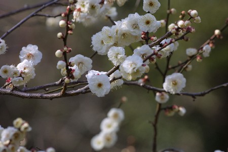 img0201276.jpg