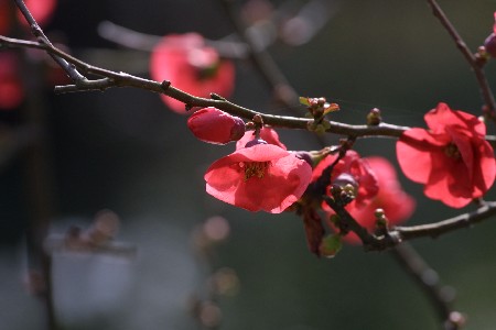 img0201278.jpg