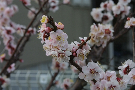 img0203367.jpg