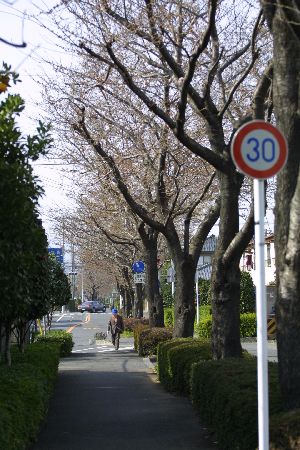 img0203424.jpg