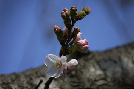 img0203432.jpg