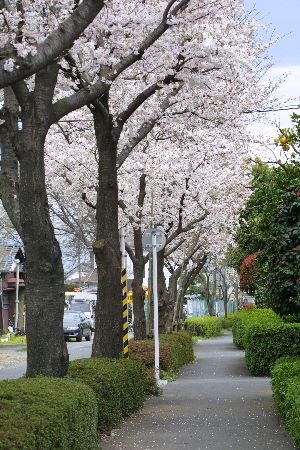 img0203448.jpg
