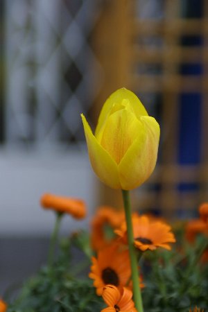 img0204487.jpg