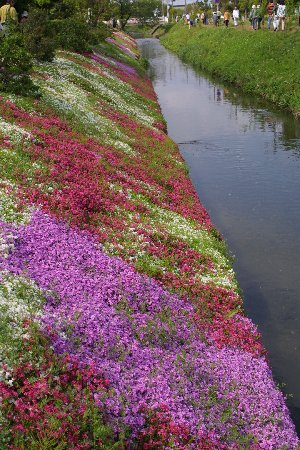 img0204494.jpg