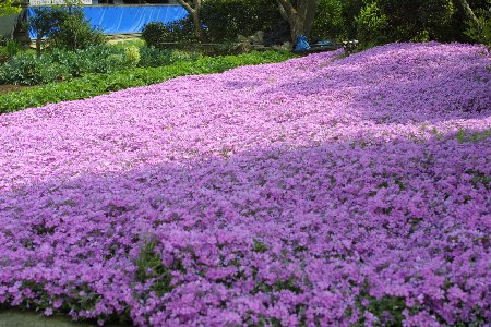 img0204502.jpg
