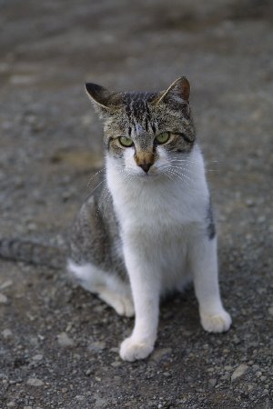 img0204511.jpg