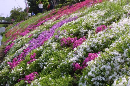img0204516.jpg