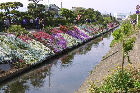 img0204523.jpg
