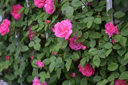 img0205659.jpg