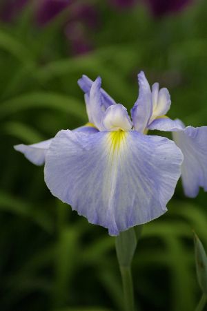 img0206712.jpg
