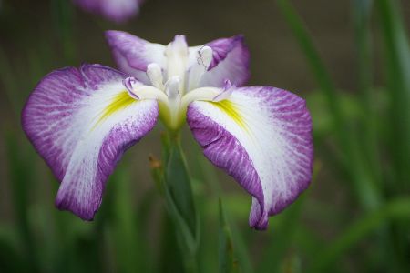 img0206731.jpg