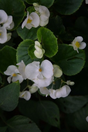 img0210400.jpg