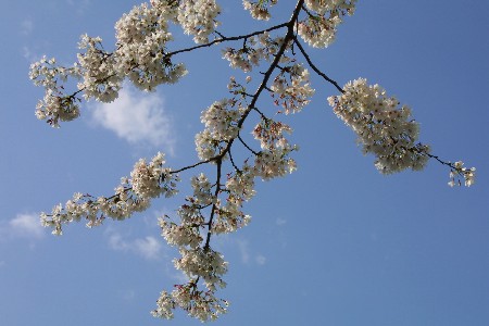 img0304935.jpg