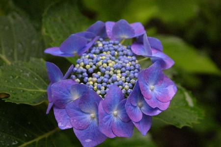 img0307452.jpg