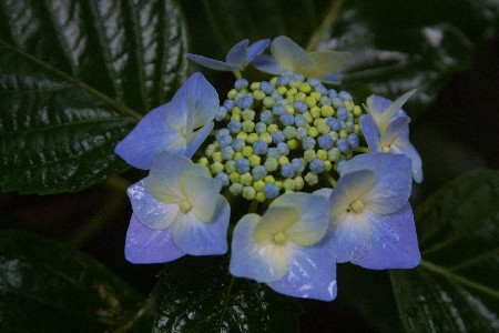 img0307459.jpg