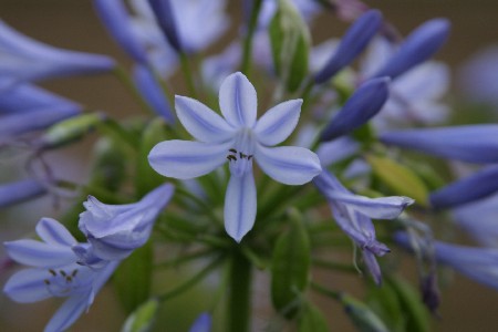 img0307466.jpg