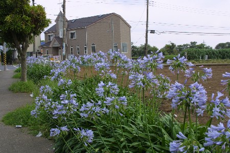 img0307475.jpg
