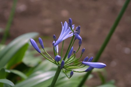 img0307485.jpg