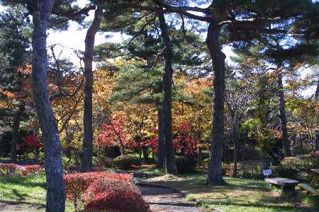img0111591.jpg