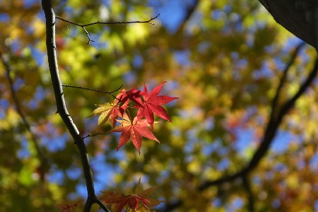 img0111619.jpg