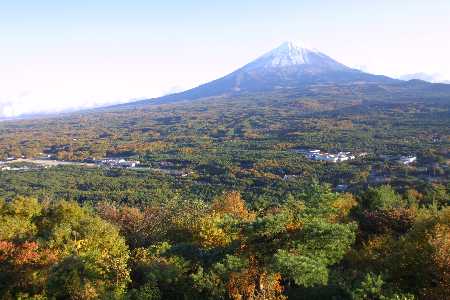 img0111660.jpg