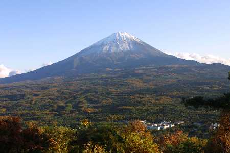 img0111666.jpg
