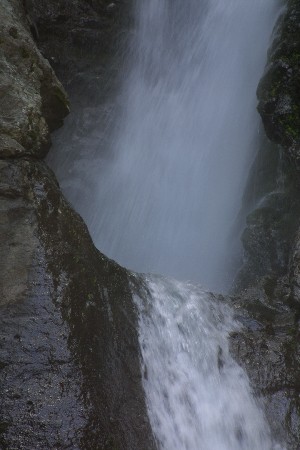 img0207981.jpg
