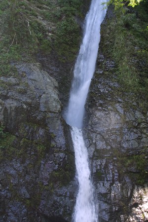 img0207983.jpg