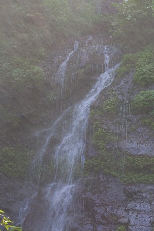 img0207997.jpg