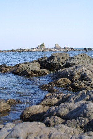 img0208142.jpg