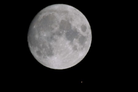 img0309708.jpg
