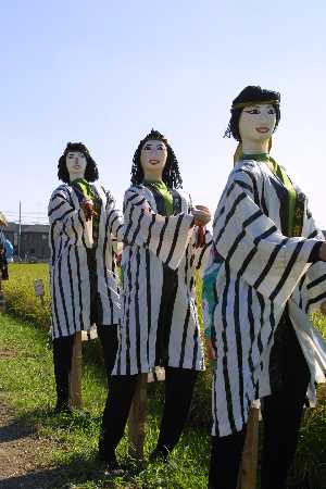 img0109546.jpg