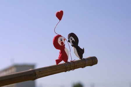 img0109552.jpg