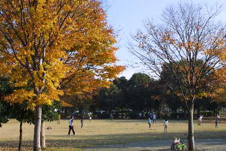 img0111789.jpg