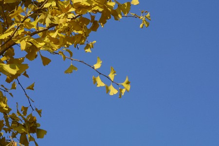 img0111796.jpg