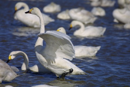 img0201043.jpg