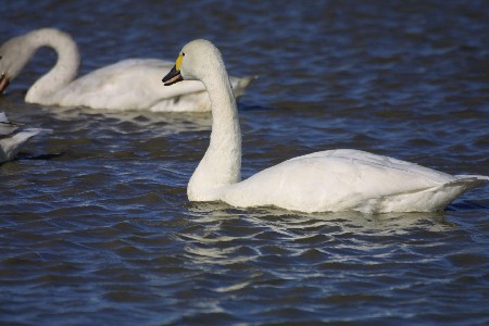 img0201064.jpg
