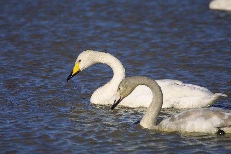 img0201068.jpg