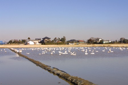 img0201093.jpg
