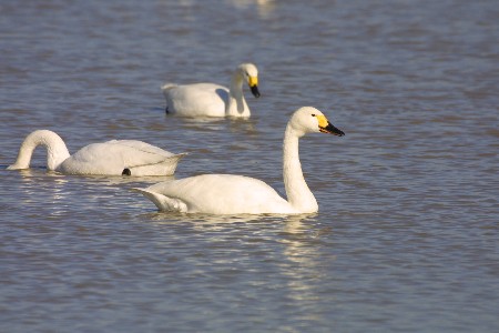 img0201145.jpg