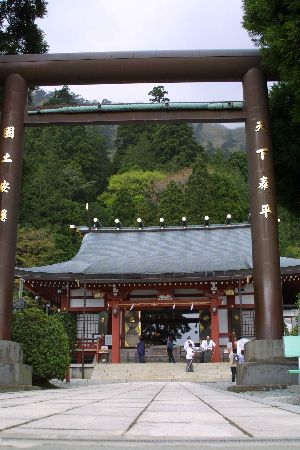 img0204537.jpg