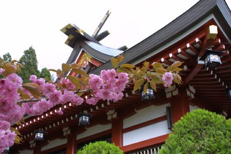 img0204542.jpg