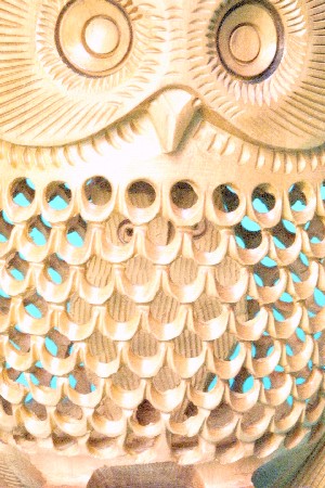 img0303806.jpg
